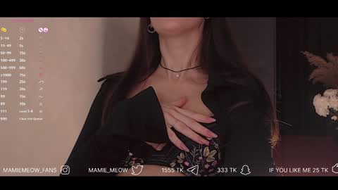 Snapshot of mamiemeow chatting on January 29, 2025, 3:58 pm Your Miss Alice online show from January 29, 2025, 3:58 pm