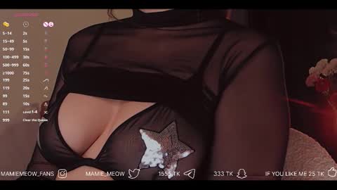 Snapshot of mamiemeow chatting on December 4, 2025, 3:43 pm Your Miss Alice online show from December 4, 2025, 3:43 pm