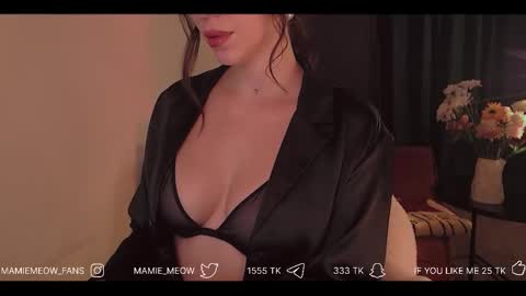 Snapshot of mamiemeow chatting on February 3, 2026, 3:17 pm Your Miss Alice online show from February 3, 2026, 3:17 pm