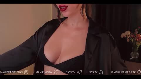 Snapshot of mamiemeow chatting on February 17, 2026, 4:24 pm Your Miss Alice online show from February 17, 2026, 4:24 pm