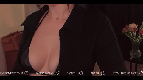 Snapshot of mamiemeow chatting on February 19, 2026, 6:20 am Your Miss Alice online show from February 19, 2026, 6:20 am