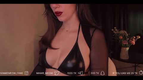 Snapshot of mamiemeow chatting on February 27, 2026, 6:08 pm Your Miss Alice online show from February 27, 2026, 6:08 pm