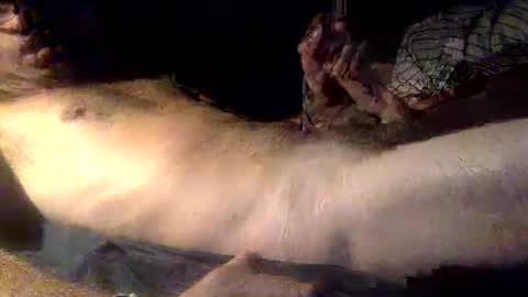 Snapshot of mandalay3 chatting on December 16, 2025, 5:12 am mandalay3 online show from December 16, 2025, 5:12 am