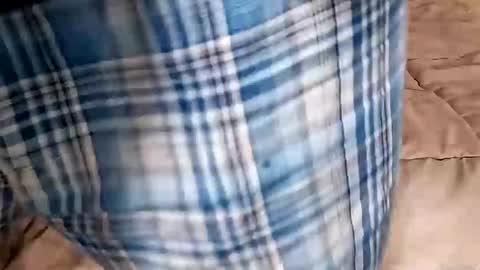 Snapshot of manlymanson chatting on September 14, 2025, 9:47 pm Dickinabox online show from September 14, 2025, 9:47 pm