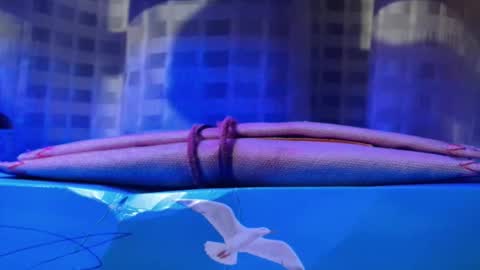 Snapshot of mansturbate_22 chatting on November 20, 2025, 12:33 am Daniel toyboy 97 online show from November 20, 2025, 12:33 am