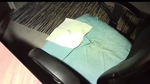 Snapshot of manswed chatting on January 12, 2025, 11:26 pm manswed online show from January 12, 2025, 11:26 pm