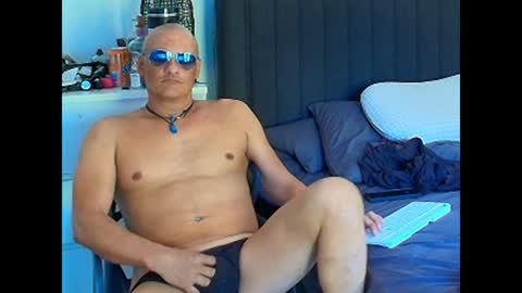 ausie baby online show from January 26, 2025, 6:59 am