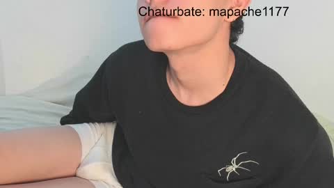 mapache1177 online show from May 19, 2026, 3:18 pm