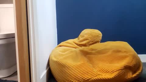 marcoandhoney online show from February 14, 2026, 8:05 pm