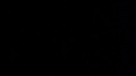 Elle online show from January 14, 2026, 12:55 pm