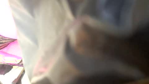 Maria Magdalena online show from October 4, 2025, 8:45 am