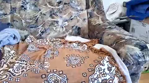 marian20242025 online show from March 11, 2026, 8:53 am