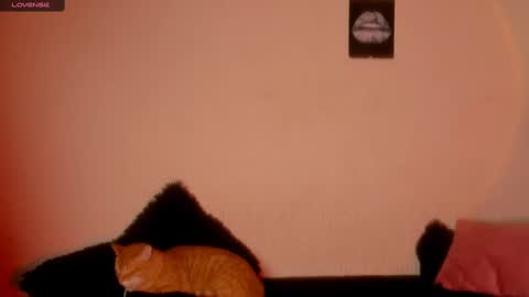 Snapshot of marianawlls chatting on February 22, 2025, 1:00 am mariana williams online show from February 22, 2025, 1:00 am