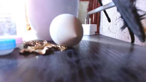Snapshot of mariposa_911 chatting on March 1, 2025, 9:07 am LEAH online show from March 1, 2025, 9:07 am