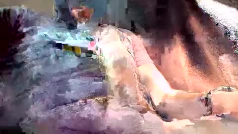 mark102839 online show from March 13, 2026, 8:26 pm