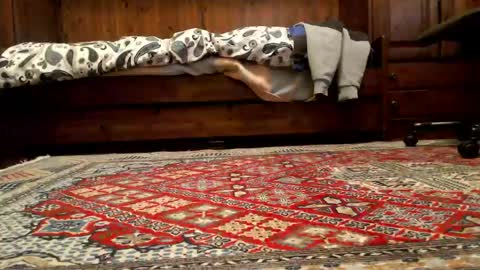 markusxxo online show from March 22, 2026, 8:40 am