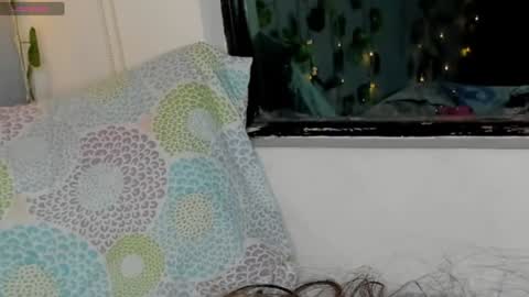 marly online show from January 17, 2025, 5:53 am