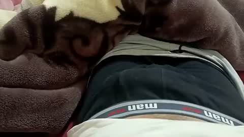 Snapshot of marocreda33 chatting on January 30, 2025, 8:53 pm marocreda33 online show from January 30, 2025, 8:53 pm