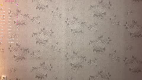 Stephie online show from February 17, 2026, 8:04 pm