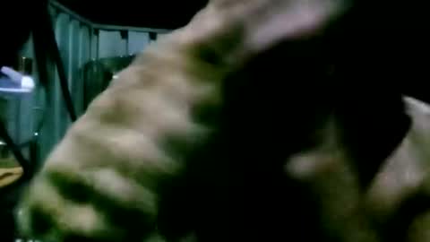 mattlesnake_101 online show from April 18, 2026, 5:50 pm