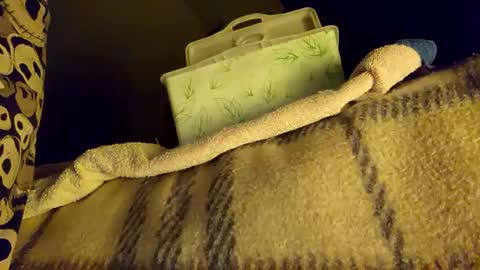 Snapshot of mattshadows667 chatting on January 20, 2025, 2:22 am mattshadows667 online show from January 20, 2025, 2:22 am