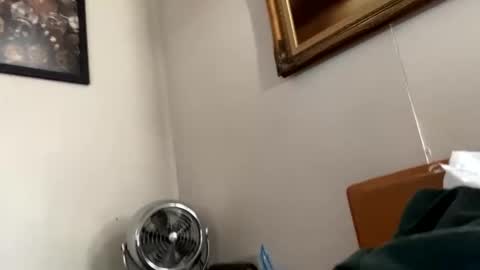 Snapshot of maturejerky chatting on November 18, 2025, 7:40 pm maturejerky online show from November 18, 2025, 7:40 pm