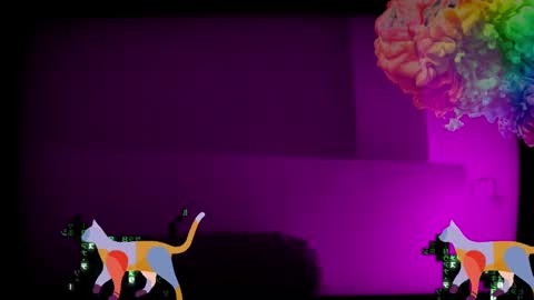 Future Max online show from January 28, 2025, 4:08 am