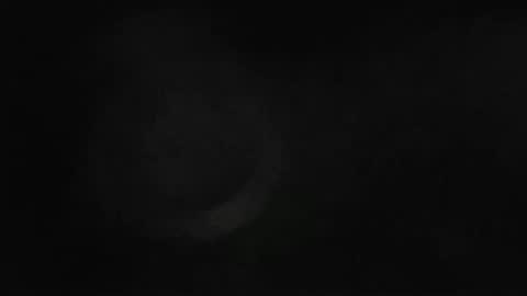 Snapshot of maximus_oreally chatting on February 18, 2025, 11:00 am Max online show from February 18, 2025, 11:00 am