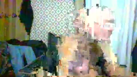 Snapshot of maximus_oreally chatting on February 19, 2025, 8:33 am Max online show from February 19, 2025, 8:33 am