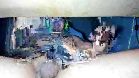 maykalvess online show from February 10, 2025, 9:58 pm