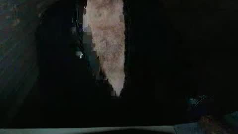 Beastie online show from November 5, 2025, 3:50 am