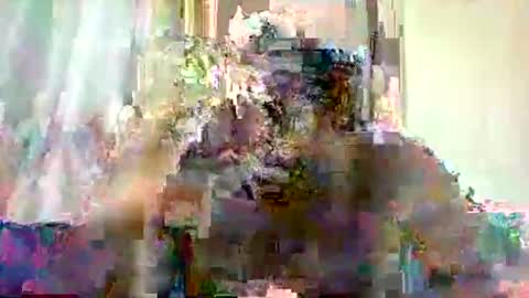 Snapshot of mclntz_bbc chatting on May 13, 2026, 12:24 pm mclntz_bbc online show from May 13, 2026, 12:24 pm