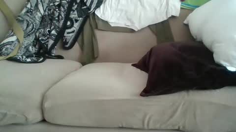 yung n hung online show from February 8, 2025, 8:42 pm