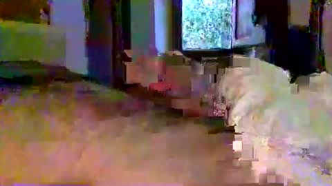 mecalientasmucho online show from May 11, 2026, 4:40 am