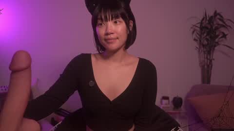  for more 3 online show from October 15, 2025, 2:33 am