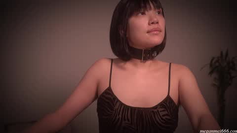  for more 3 online show from November 22, 2025, 2:54 am