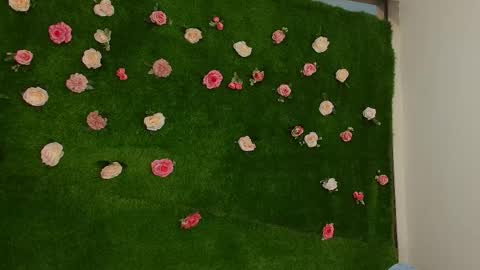 megatitts_ online show from April 1, 2026, 1:41 pm