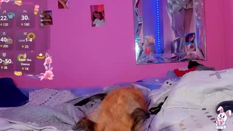 Snapshot of mejialuisa0142 chatting on March 2, 2025, 6:16 am Luisa online show from March 2, 2025, 6:16 am