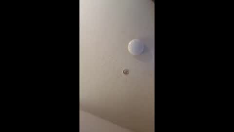 mel_hart_jr online show from May 18, 2026, 7:09 pm