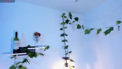 Snapshot of melanieecox chatting on July 14, 2026, 1:08 am Melanie online show from July 14, 2026, 1:08 am