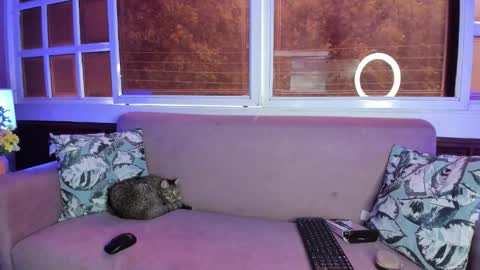 Melanie Roux online show from October 13, 2025, 7:36 pm