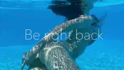 Snapshot of melanybunny chatting on September 15, 2025, 2:50 pm Adel online show from September 15, 2025, 2:50 pm