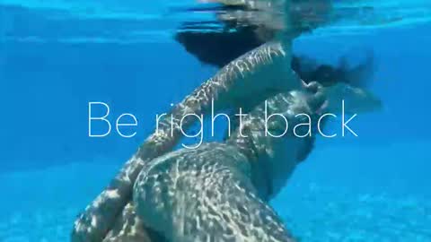 Adel online show from November 3, 2025, 9:48 pm