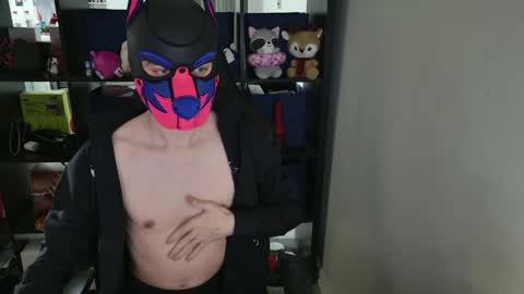 Snapshot of mellpup chatting on April 2, 2026, 5:21 pm MellPUP online show from April 2, 2026, 5:21 pm