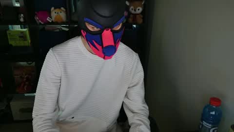 Snapshot of mellpup chatting on April 5, 2026, 1:14 am MellPUP online show from April 5, 2026, 1:14 am