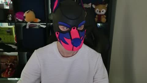 Snapshot of mellpup chatting on April 8, 2026, 9:04 pm MellPUP online show from April 8, 2026, 9:04 pm