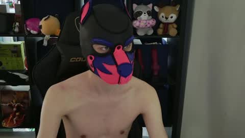 Snapshot of mellpup chatting on April 9, 2026, 9:31 pm MellPUP online show from April 9, 2026, 9:31 pm