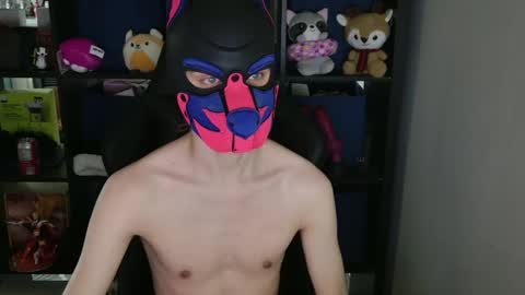 Snapshot of mellpup chatting on April 15, 2026, 12:06 am MellPUP online show from April 15, 2026, 12:06 am