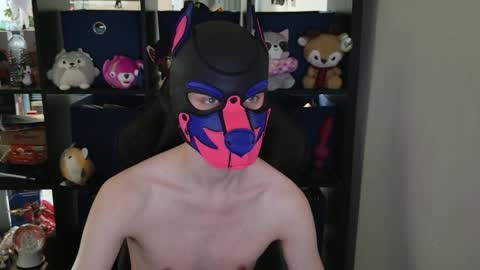 Snapshot of mellpup chatting on April 29, 2026, 6:36 pm MellPUP online show from April 29, 2026, 6:36 pm