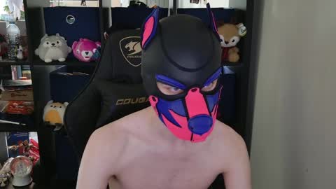 Snapshot of mellpup chatting on April 30, 2026, 6:03 pm MellPUP online show from April 30, 2026, 6:03 pm